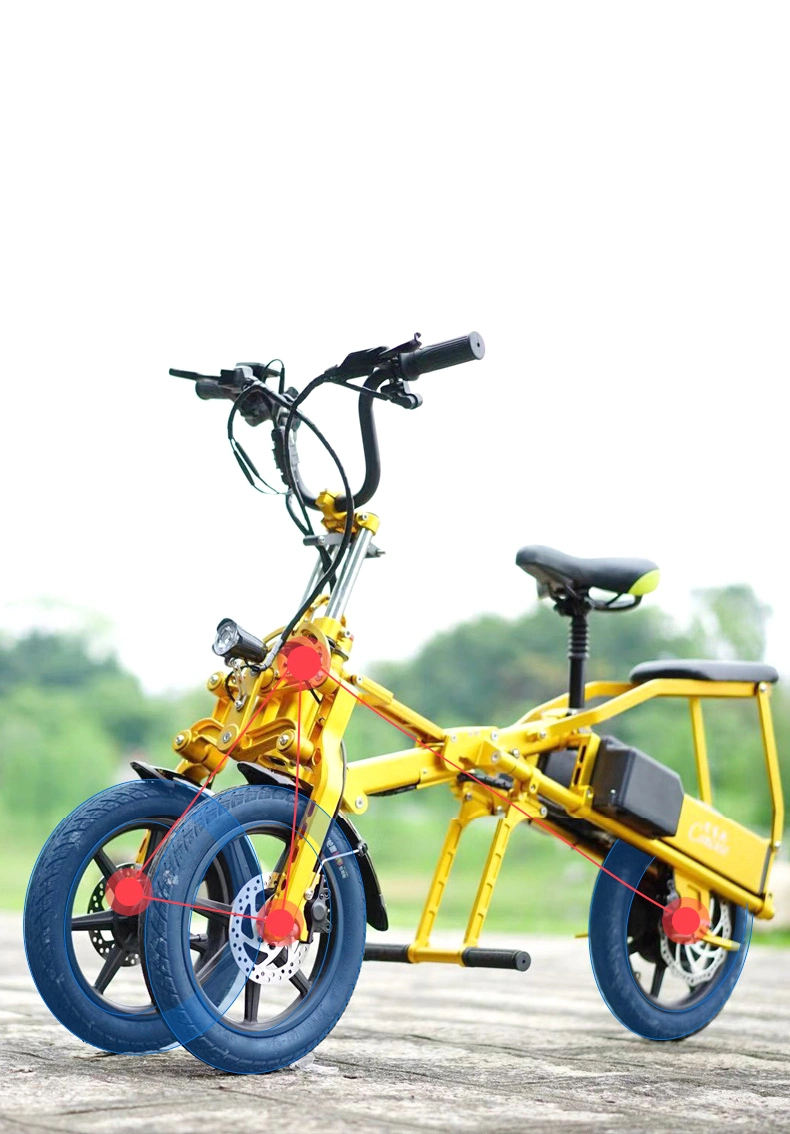 Wholesale/Supplier 36V Brushless Motor Folding Electric Bicycle 3 Wheel