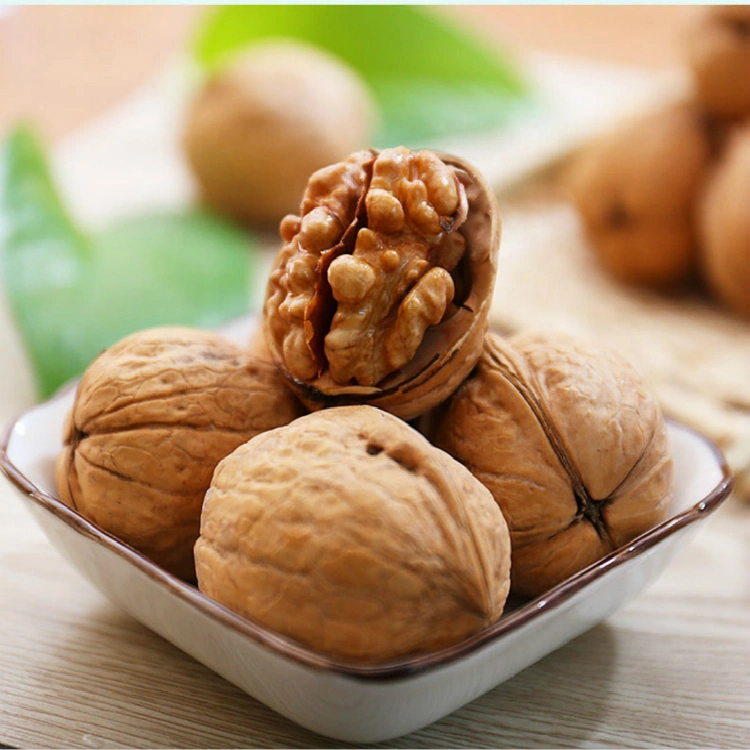 Wholesale/Supplier New Crop Walnut Raw Walnut with High quality/High cost performance 