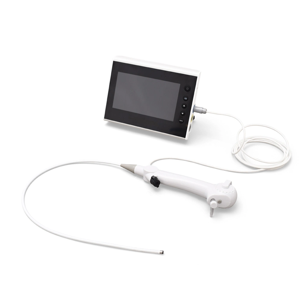 Endoscope médical ICEN Rhinolaryngoscope Endoscopios Bronchoscope Type d'endoscope vidéo portable HD