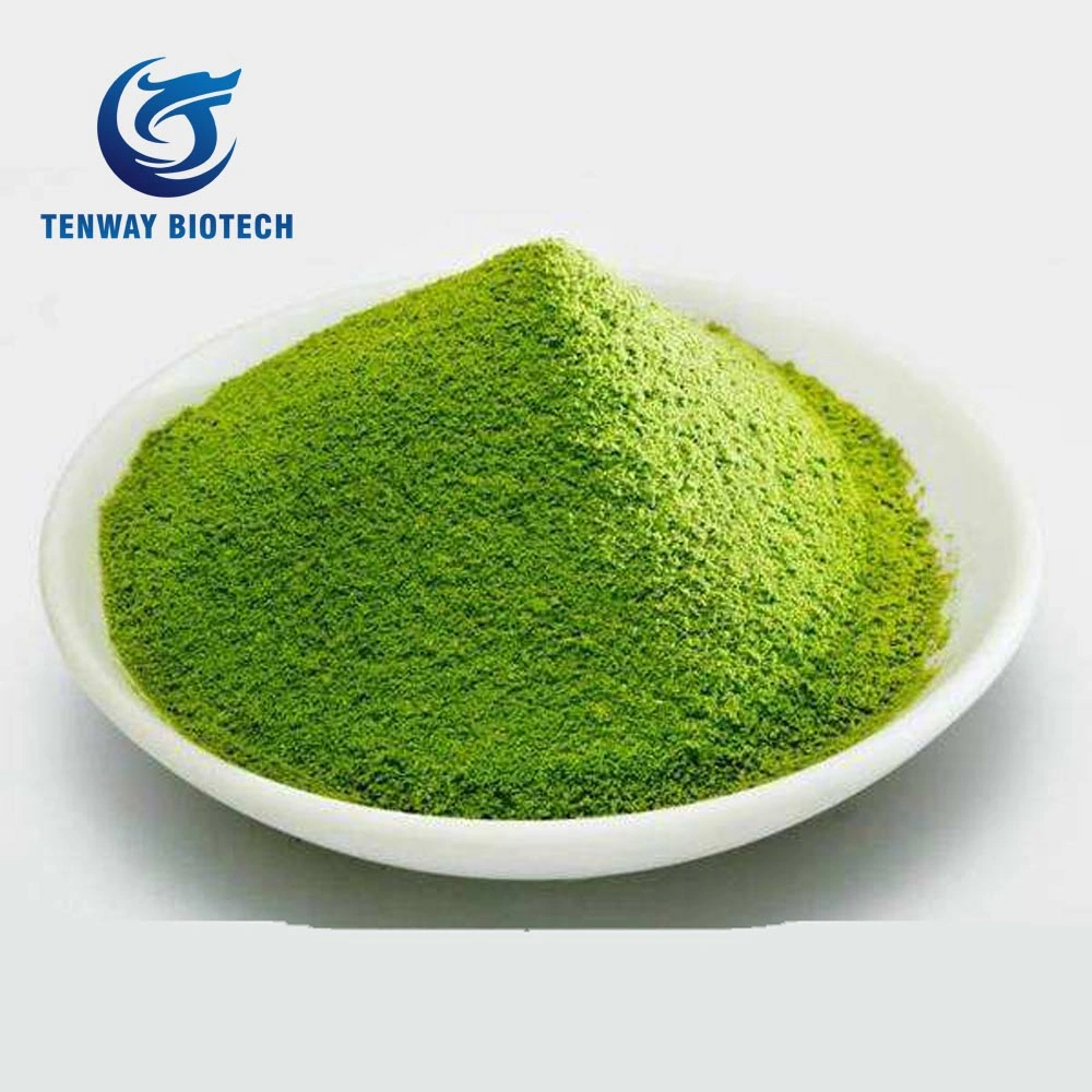 Top-Qualität Lebensmittel Zutat Super Fine Green Tea Powder / Moccha Pulver für Anti-Aging