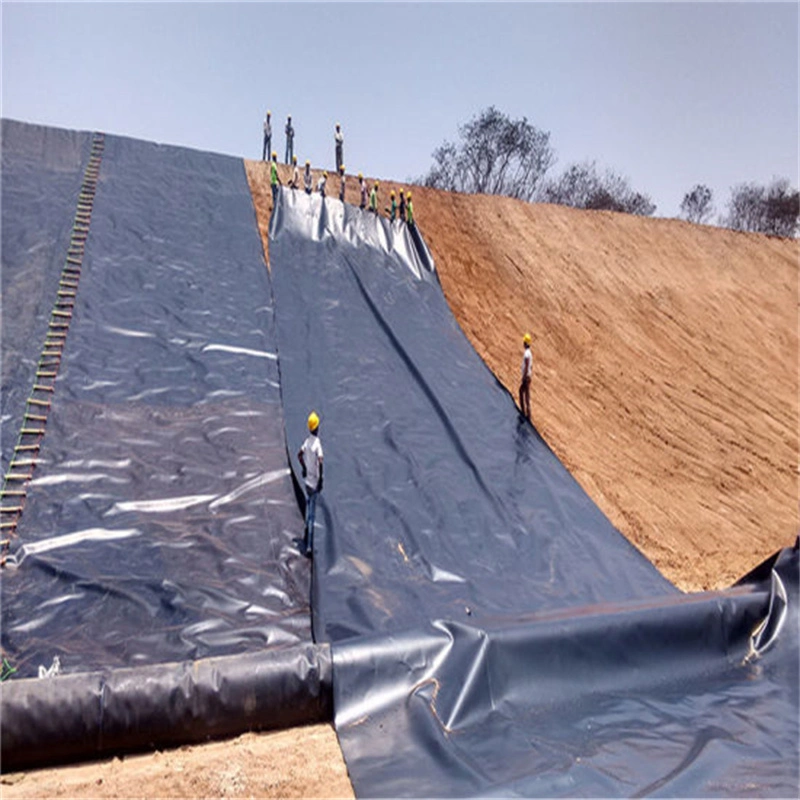 Factory Price Black White Blue Green HDPE Geomembrane for Mining