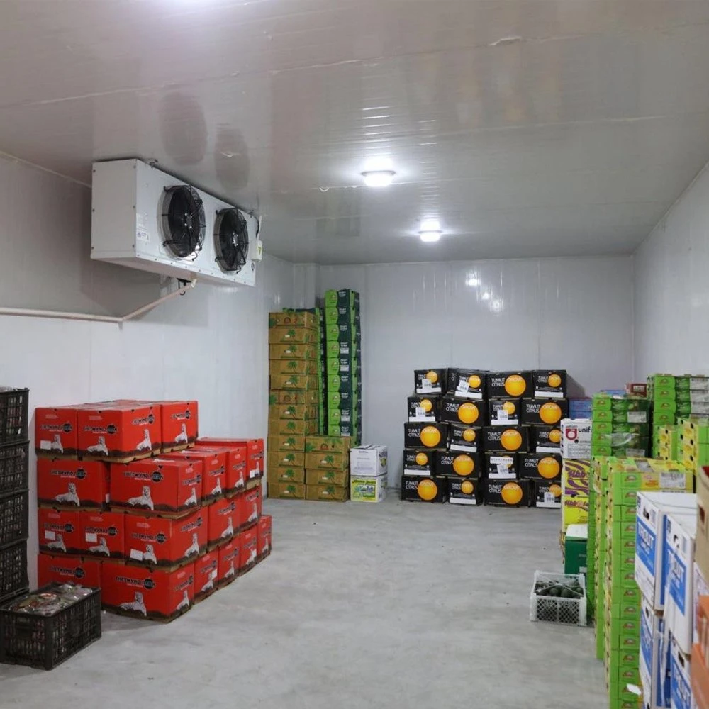 Prepared Food Beer Kegs Drinks Meat Fruits Storage Refrigerator Cold Room