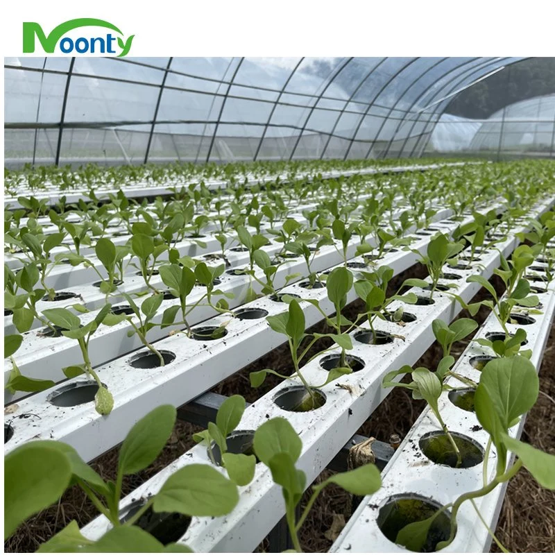 Landwirtschaftliche NFT hydroponic Wasser sparen Bewässerung Vertikal Gully System für Bauernhof