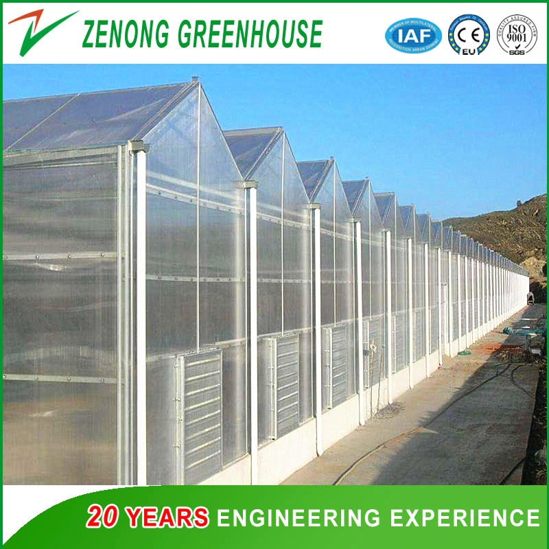 Agriculture Venlo Type PC Greenhouse for Exhibition/Eco Restaurant/Experiment