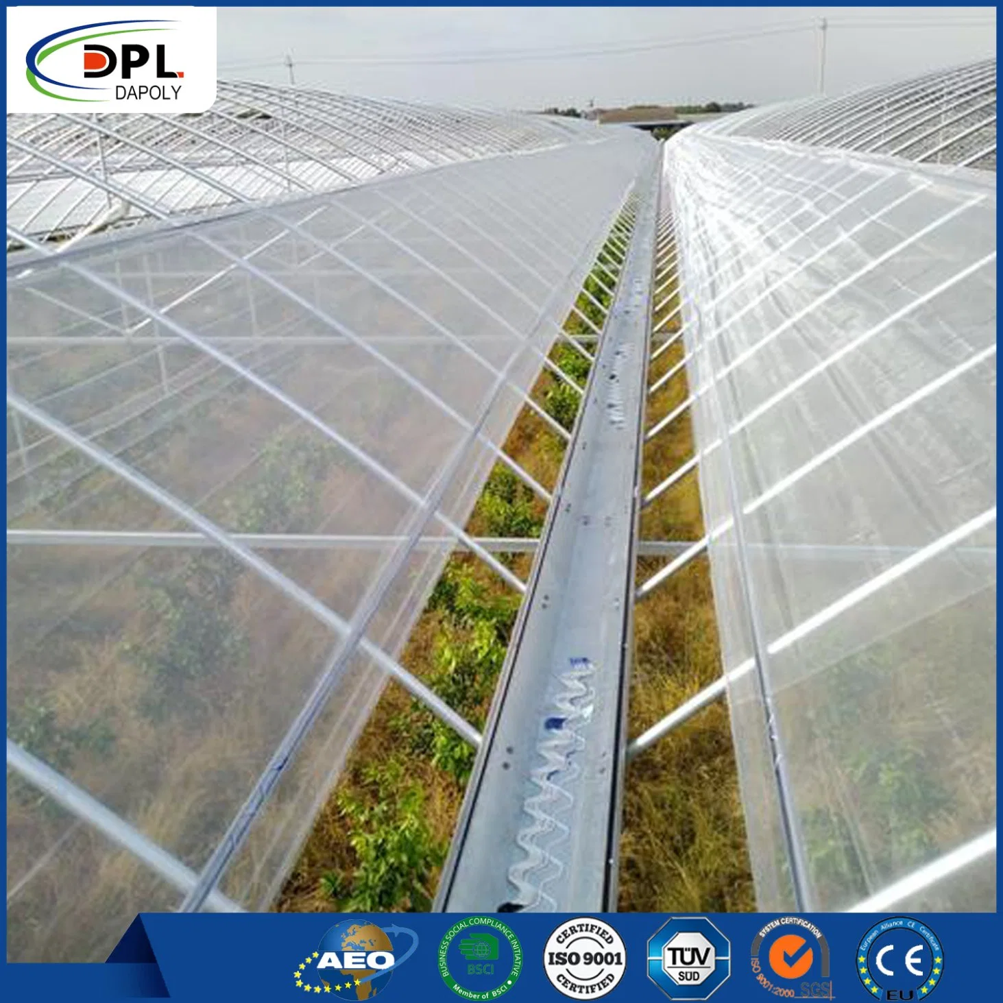 16 24 25 32 40 Polietileno transparente de incandescência Mono anti inseto pulg Mesh Net para a agricultura