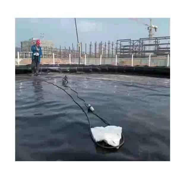 Membrana Geo impermeable plástico artificial tanque de lago Fish Pond Farm Forro