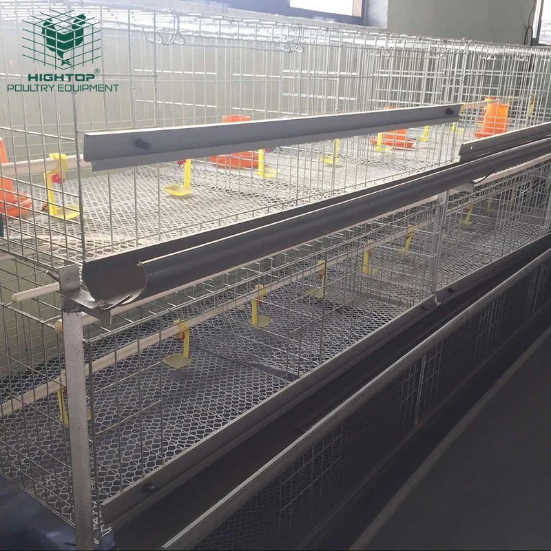 Großes Geflügelsystem Gebrauchte Geflügelzuchtgeräte Broiler Hühnerkäfig