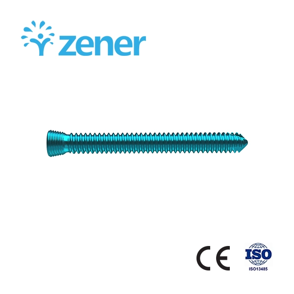 Radius distal de verrouillage en forme de t la plaque de compression (Extra-long) , en alliage de titane, implant orthopédique, traumatisme chirurgical, Jeu d'instruments médicaux, avec ce/ISO/FDA