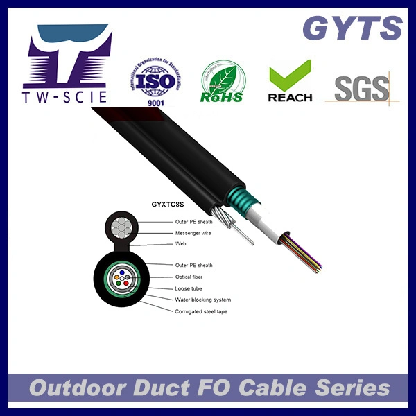 Câble fibre optique pour armure de communication G652D à support autonome 24 cœurs (GYXTC8S)