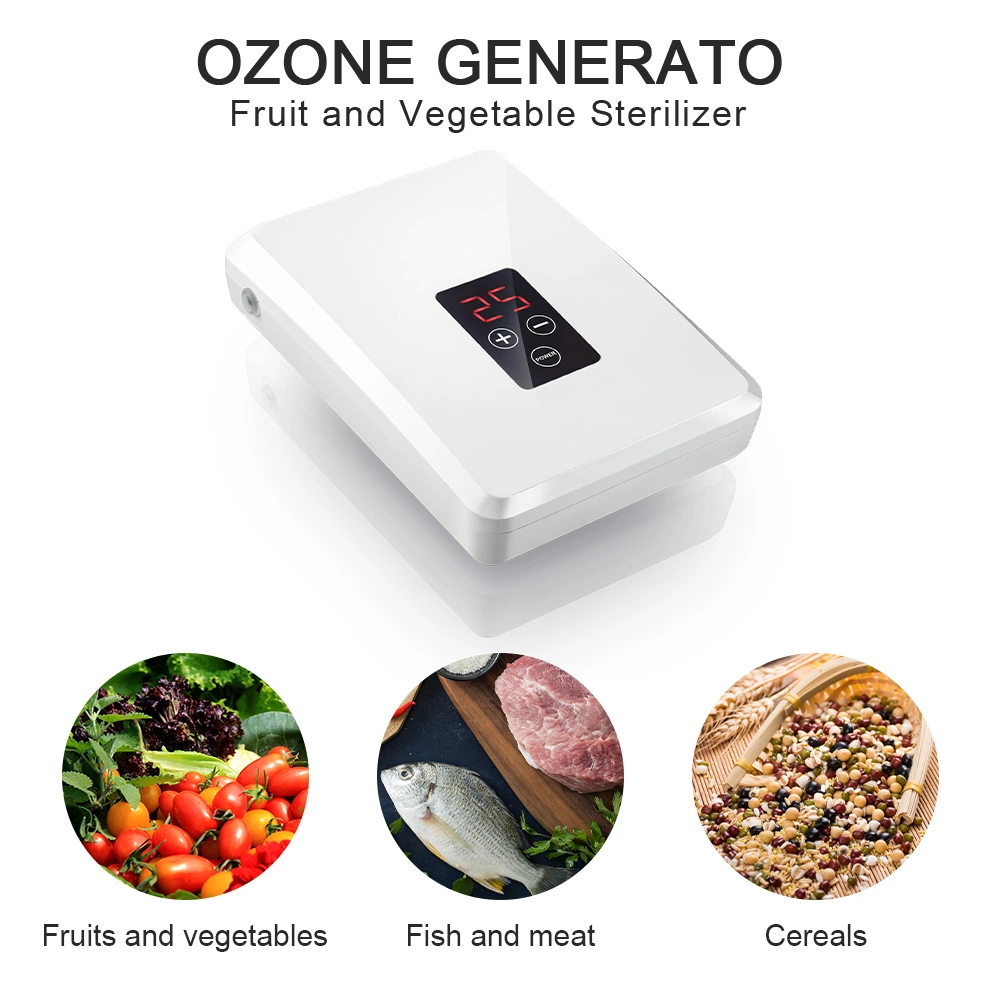 600 Mg Ozone Generator Air and Water Purifier Vegetable Cleaner