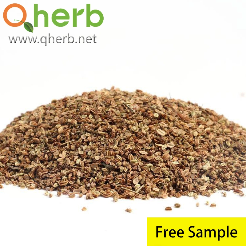 She Chuang Zi 10% Osthole Fructus Cnidii Cnidium Monnieri Seed Extract Free Sample