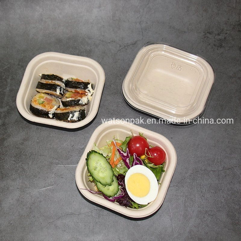 Bagasse Renewable Materials Leak-Proof Microwave-Safe Multiple Use Sugarcane Square Food Container