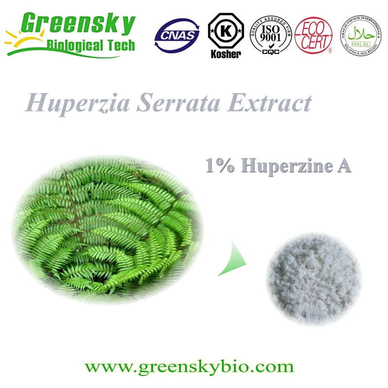 Greensky Huperzia Serrata Extract (Thunb.) Trev.