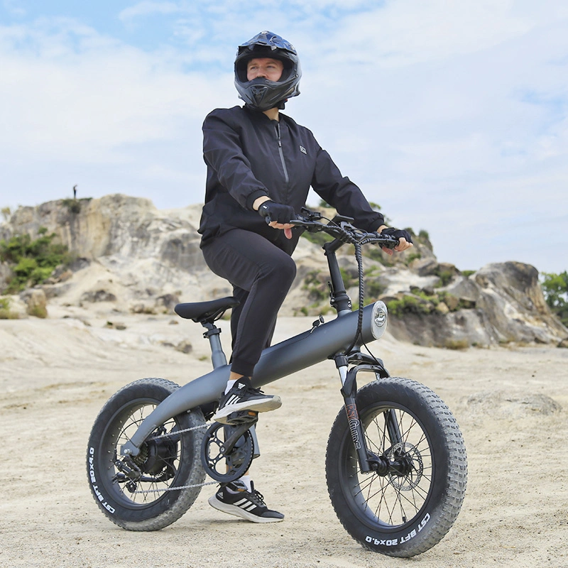 2024 New Design CE Certificate Mountain Ebike with 32km/H Lithium Battery