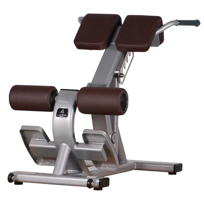 LVCC equipos de alta calidad de fitness Volver máquina de extensión ejercicio comercial Equipo