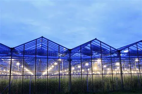 Smart Greenhouse with LED Grow Light for Medical Plants