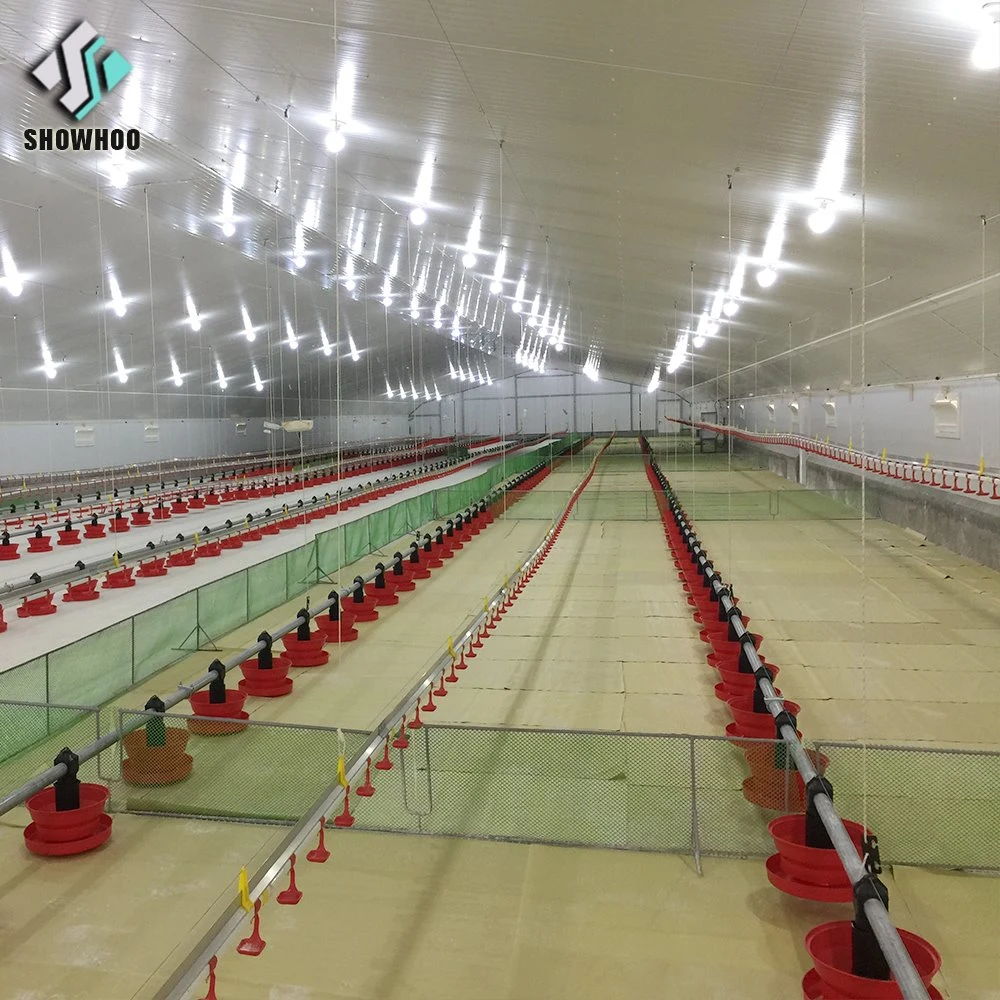 Conception de hangar automatique en acier pour ferme avicole - Maison moderne pour poulets.