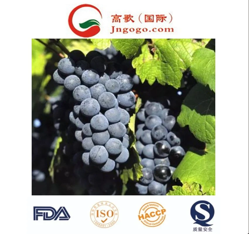 Les raisins frais, fruits frais, de la Chine exportateur de fruits frais raisin noir