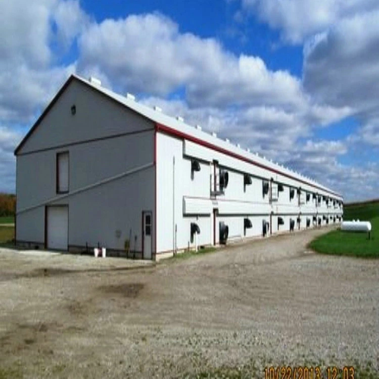 Chicken House Light Steel Structure Prefabricated Metal Building