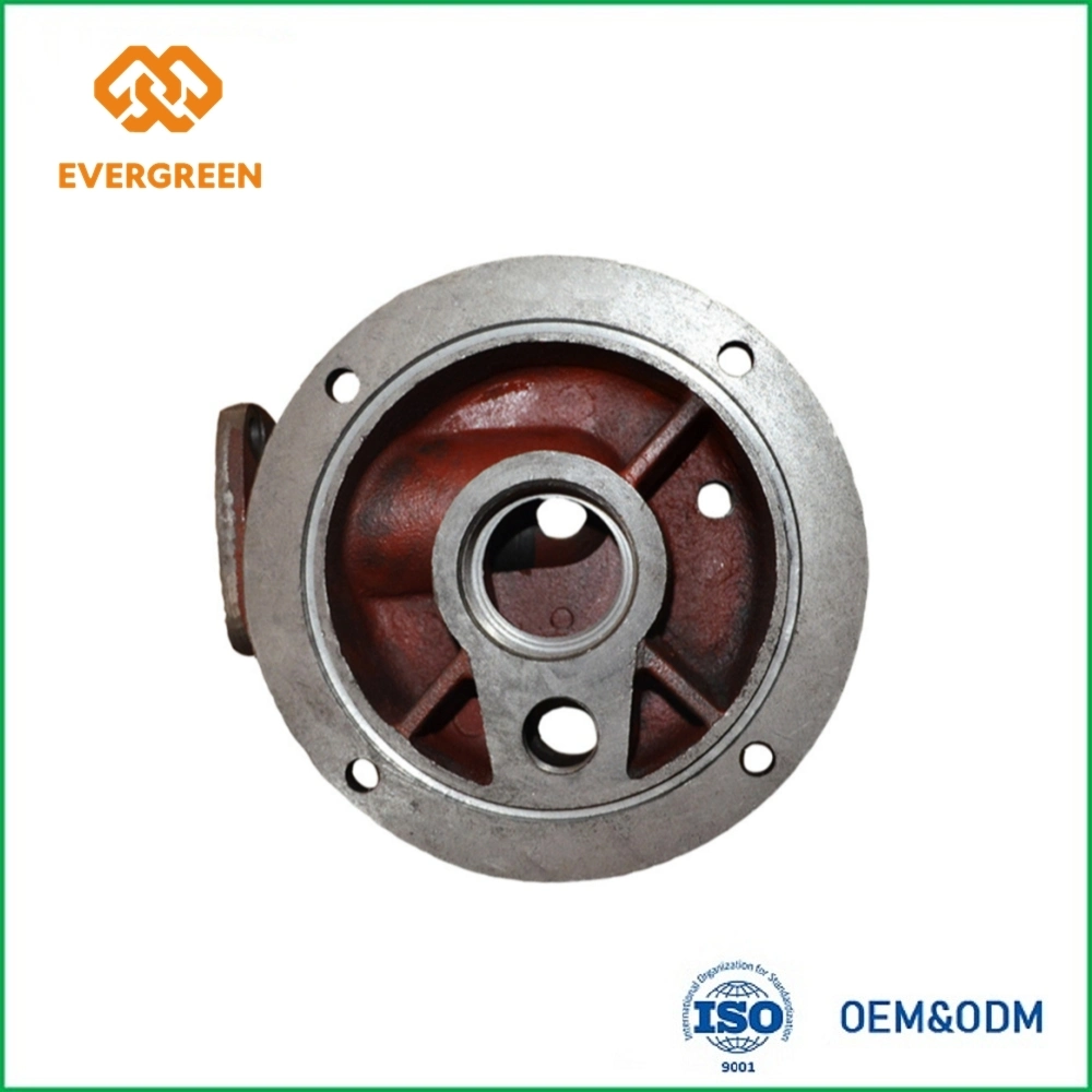 OEM y ODM de acero inoxidable 304/316 Pinza de vidrio