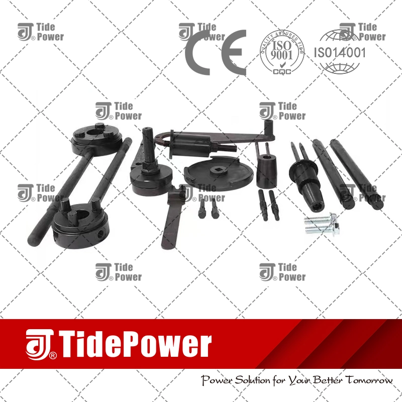 Sdec Shanghai Diesel Engine Generator Parts Use for Engine R/E/H/D Series Repair Kit S00018017f/14030000/S00015371/S00016454+01/C121/6121/S00016455+01