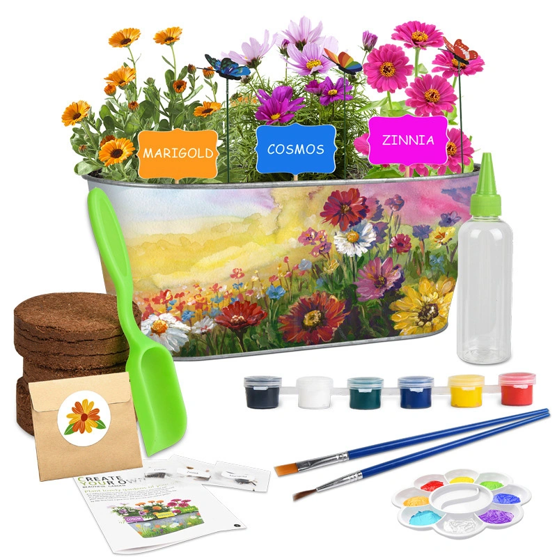 DIY Planting Pot Set Indoor Flowers and Plants Growing Set Wholesale/Supplier