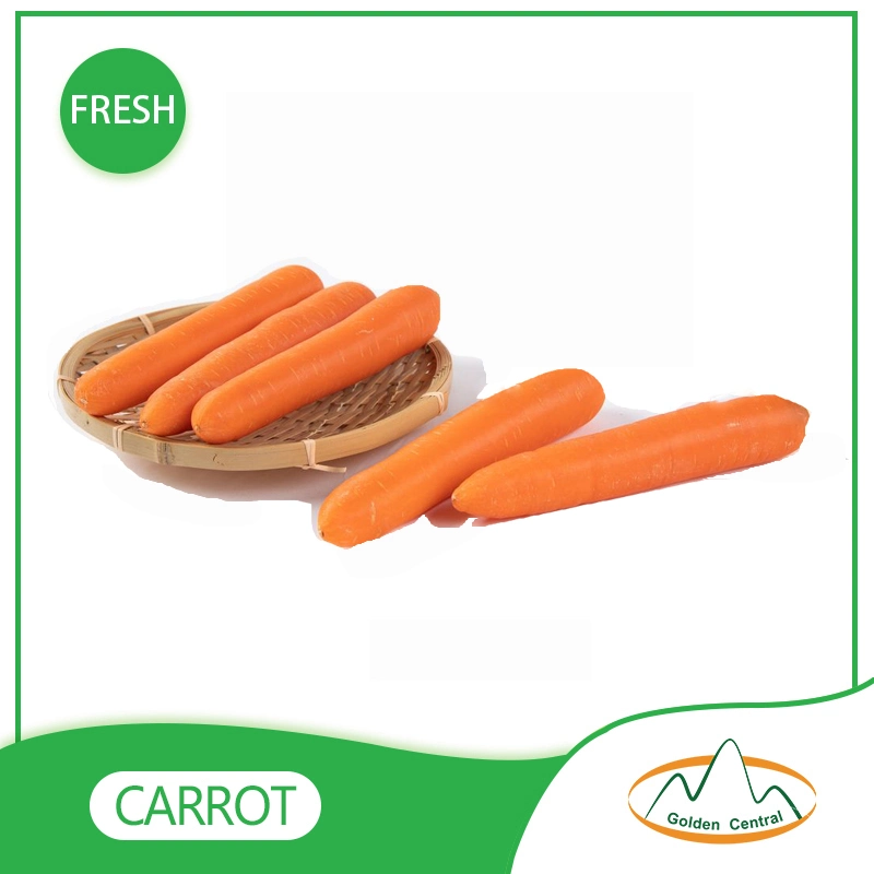 2023 New S M L Size Fresh Red Carrot