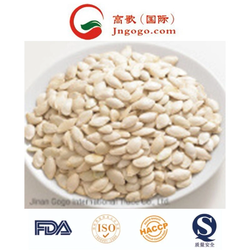 Top Quality Snow White Pumpkin Seeds From China