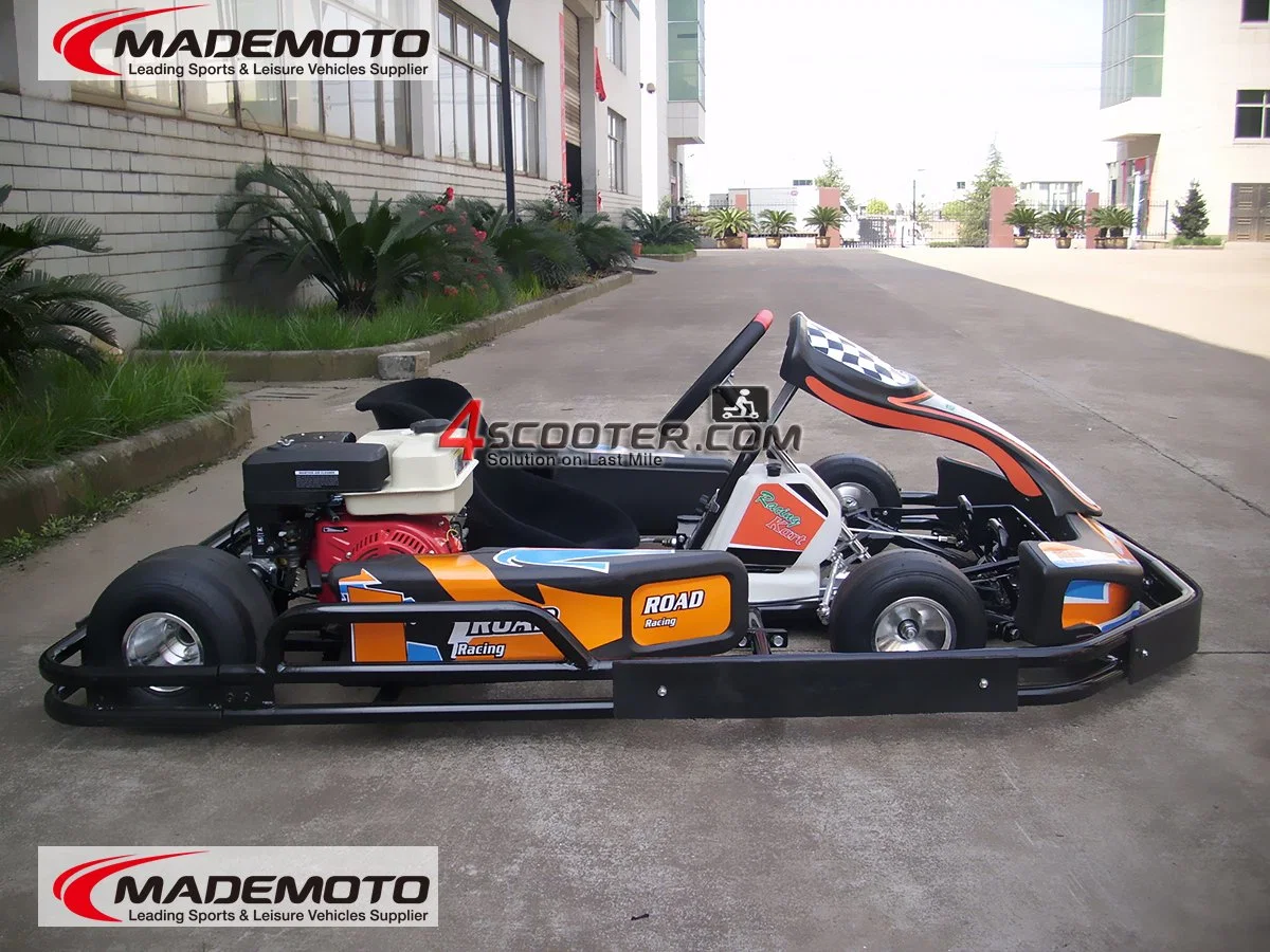 Amusement 150cc 200cc 250cc 300cc Go-Kart Racing Karting Go Karts Adecuados para Adultos