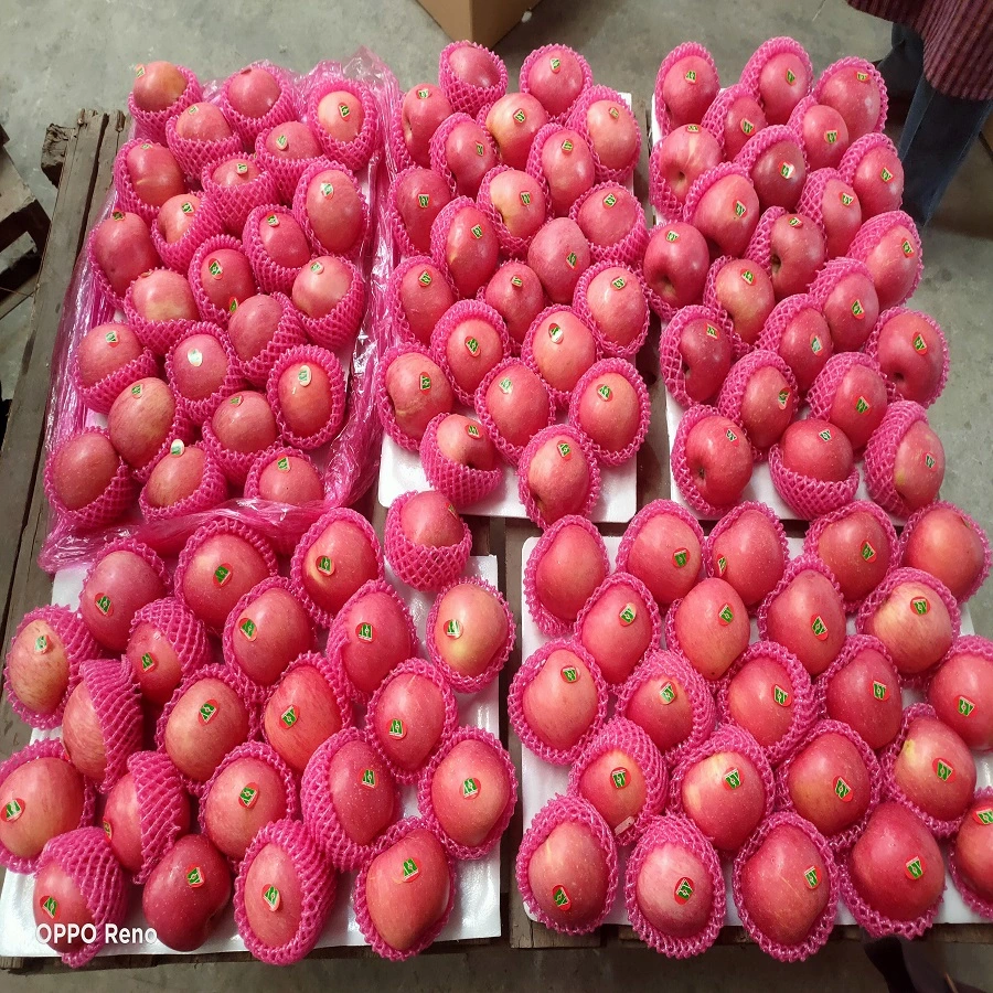 China Fruit Fresh Full Red FUJI Apple