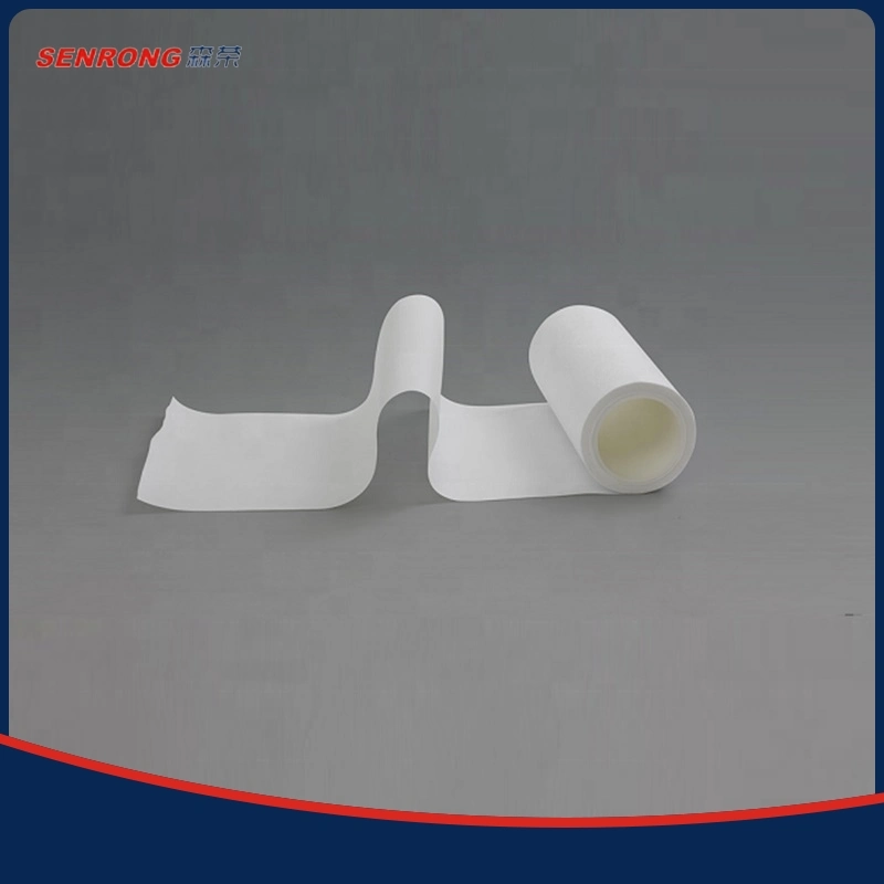 Cross-Border Customized PTFE Compost Membrane Microporous PTFE Membrane PTFE Hydrophilic Bubble Point Film