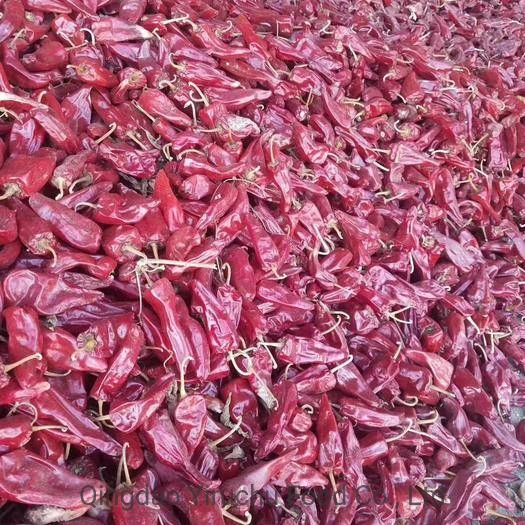 China&prime; S Best-Selling and Hottest Red Pepper