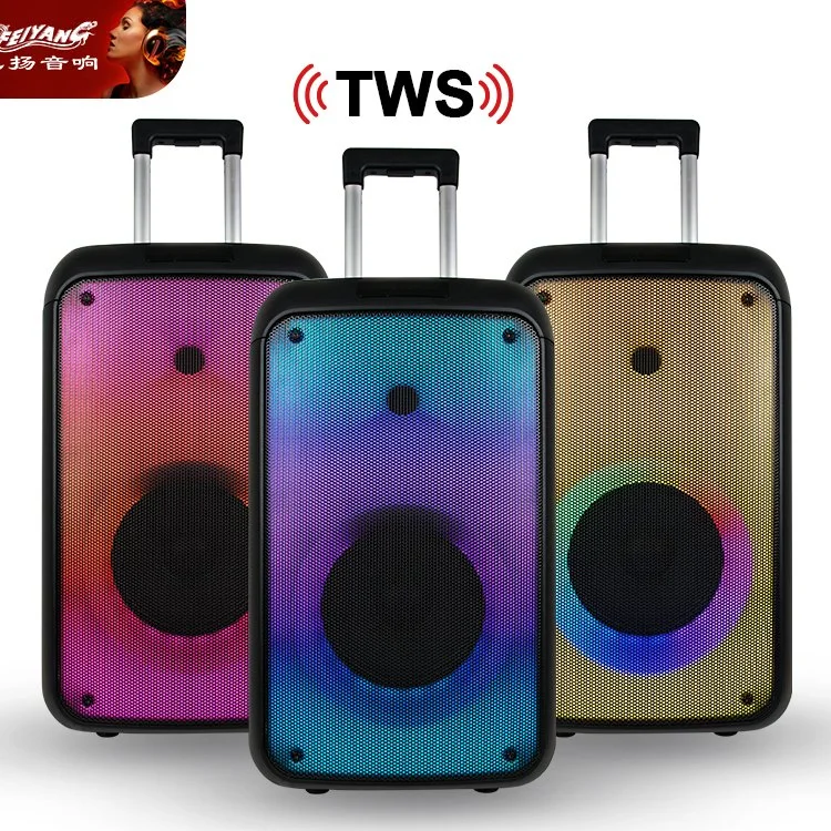 8 Inch Trolley Speaker Professional Caxia De Som Portable Audio Bluetooth Wireless Speaker with Flame Light