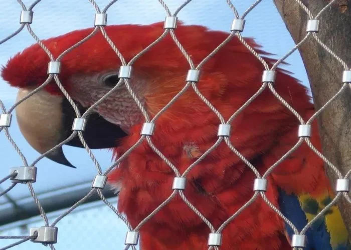 Papagei Aviary Ara Gehäuse Zaun Käfig Drahtseil Kabelnetz Tafelrechnung