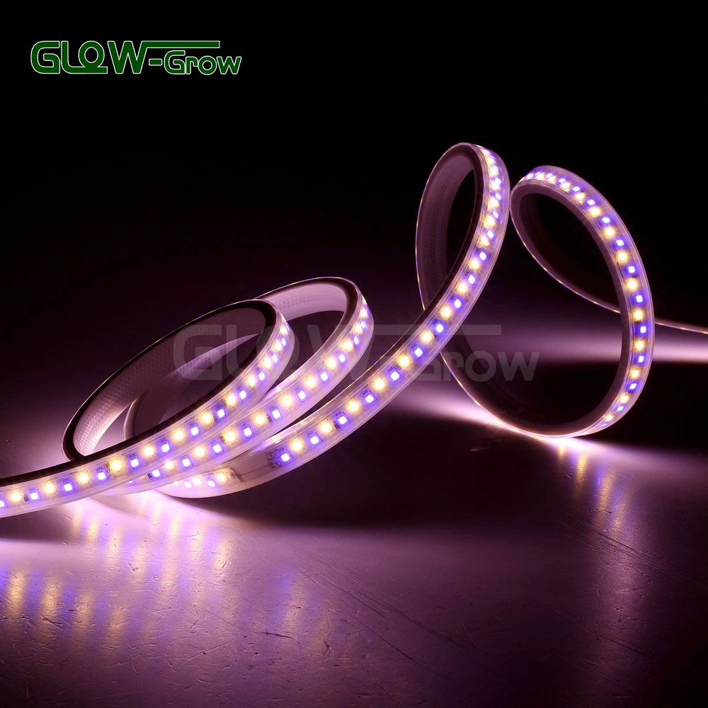 164FT Dual Color Flexible LED Rope Light Strip SMD 2835 LEDs with Dimmable IP65 Waterproof Remote Controller