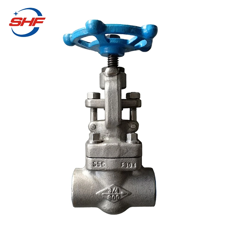 F304 F316 Hot Steam Globe Valve Bellow Seal Stainless Steel Forged Globe Valve