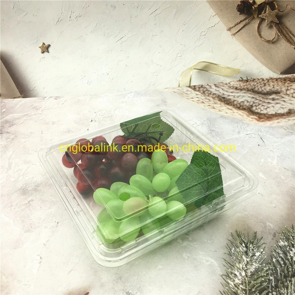 Caixa de embalagem de fruta em plástico descartável Embalagem de Morango Punts 500 gramas