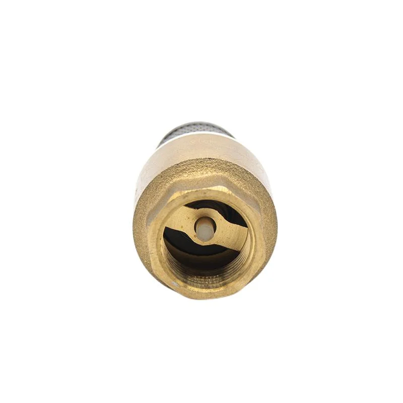 Brass Foot Valve Vertical Check Valve with 1 Inch Brass Copper Core with Filter