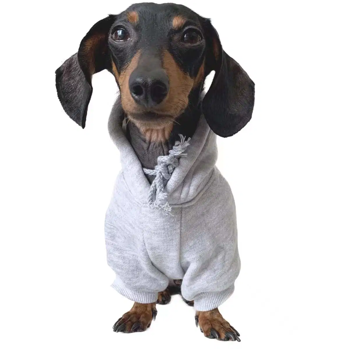 Hanyang mayorista más populares de la Mascota personalizada Hoody ropa perro personalizado