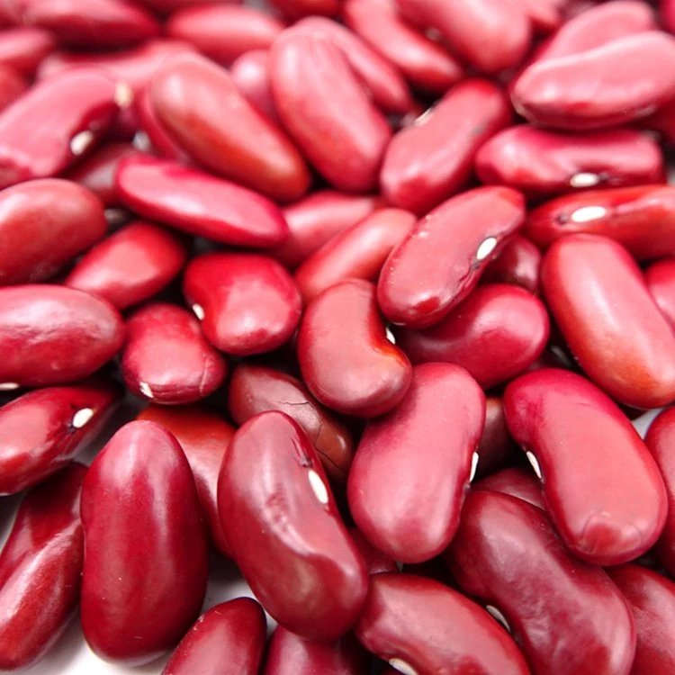 New Crop Red Kidney Beans