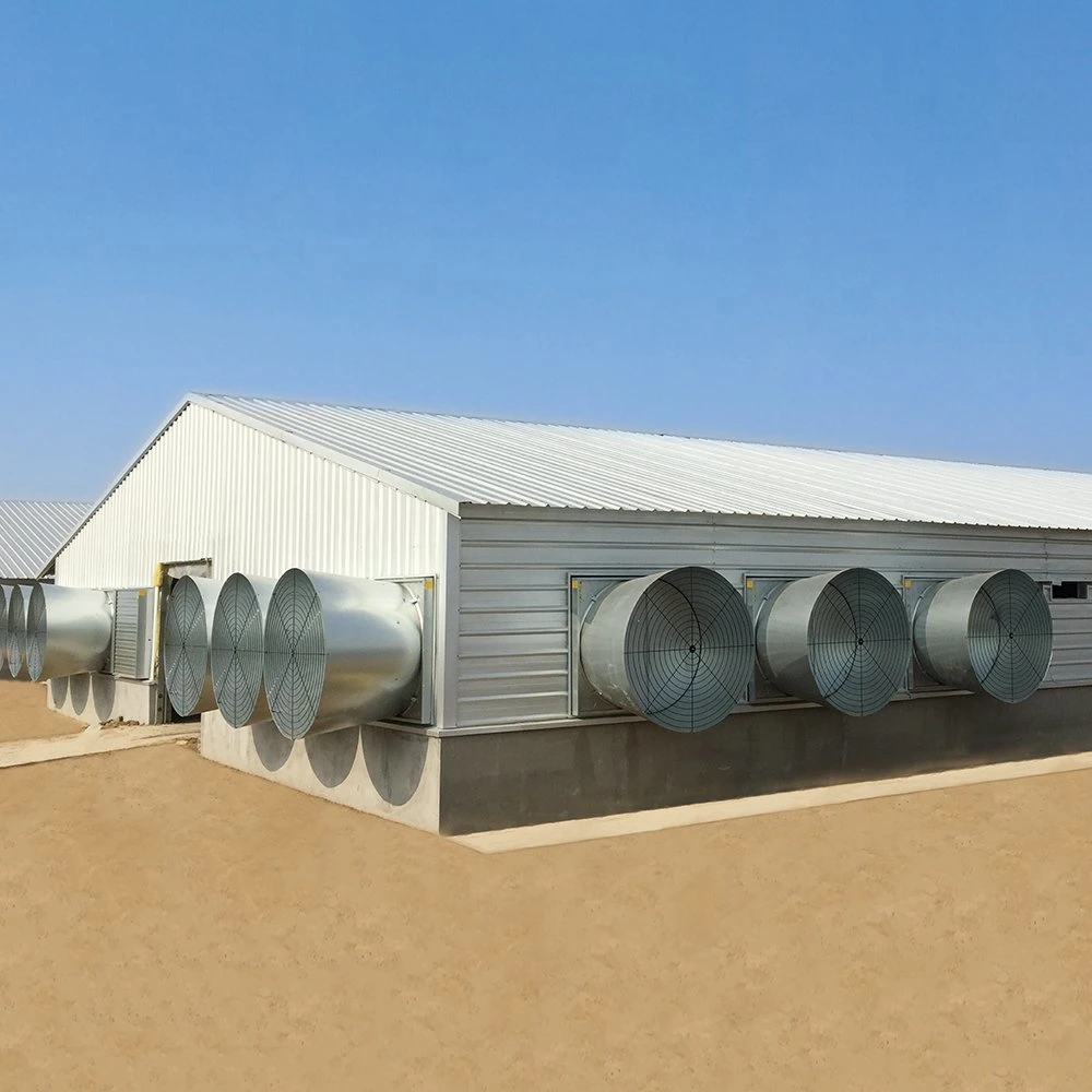 Prefabricated H Beam Steel Poultry House Poultry Farms From China