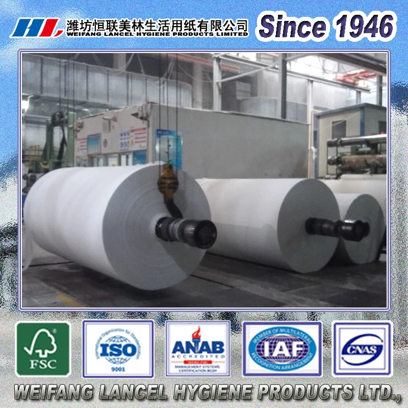 Paper Mill Operation Raw Material Tissue Jumbo Rolls Mother Roll for Napkins