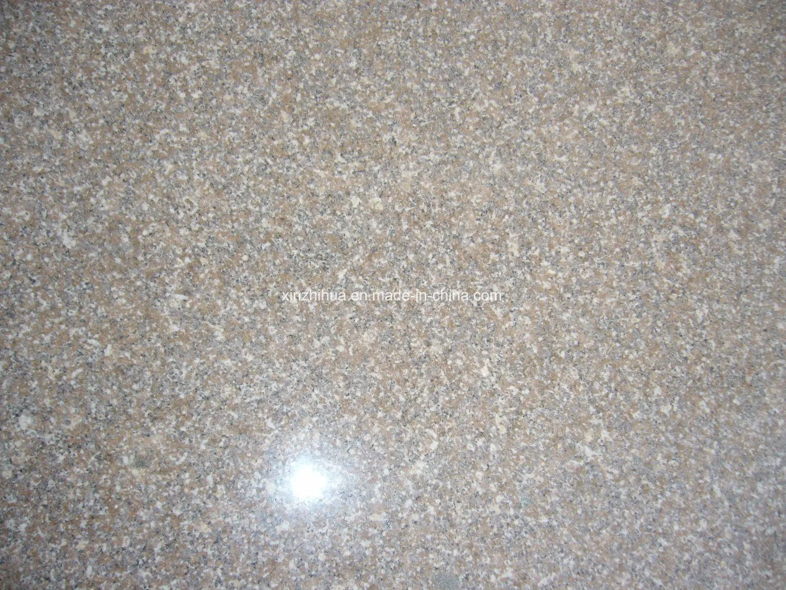 G648 Granite Natural Stone for Tiles/Slabs/Steps/Countertop/Vanity Top/Wall