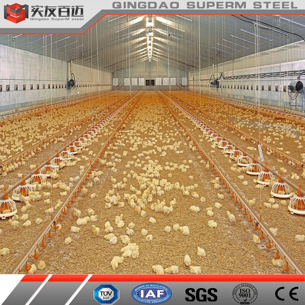 High Strength Light Steel Structure Building Poultry Chicken Broiler Farm House