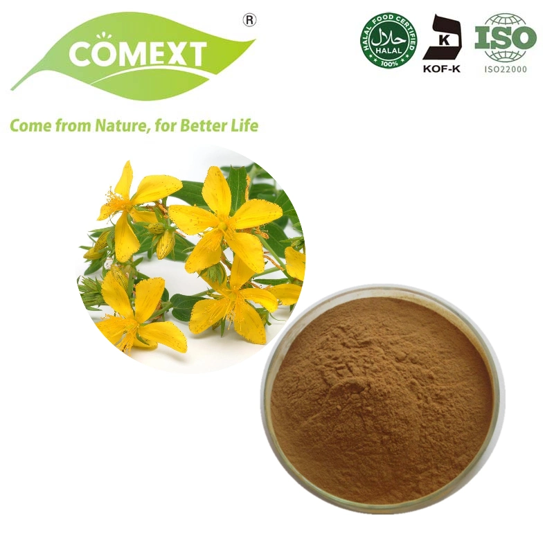 Comext Factory Supply Natural Perforatum Hypericum St Johns Wort Extract