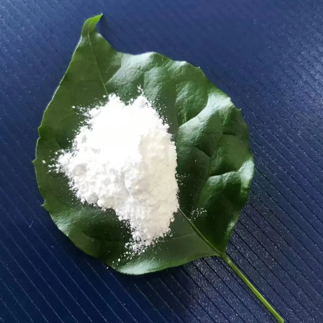 Magnesium Carbonate at Competitive Prices CAS 13717-00-5