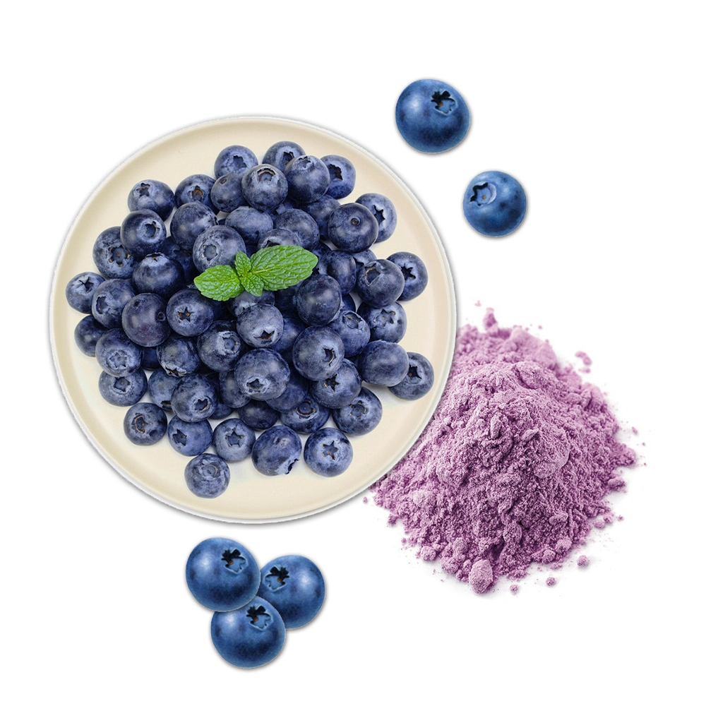 Natural orgânico Freeze seco Wild Blueberry suco de frutas em pó