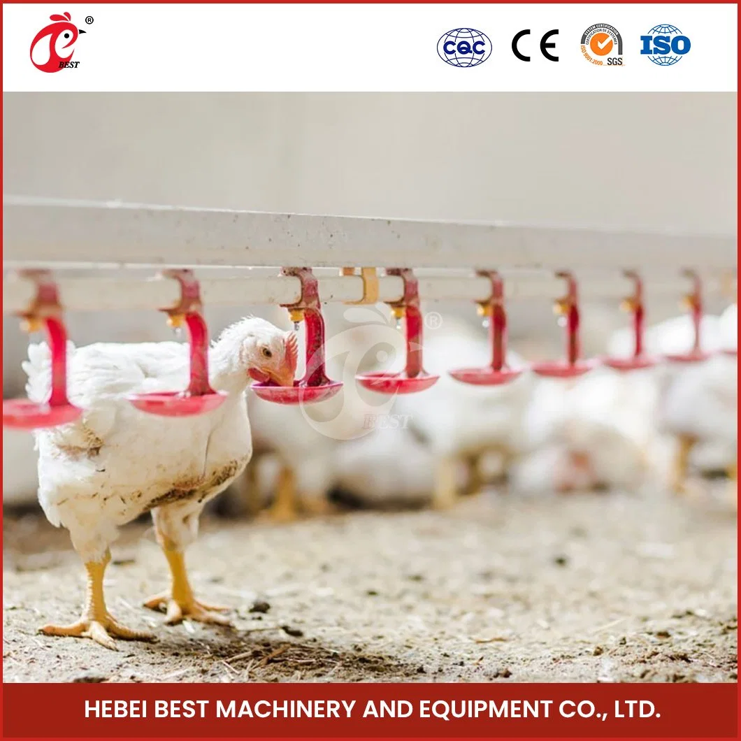 Bestchickencage Broiler Deep Litter System Non-Standard Customization China Silver White Broiler Cleaning Deep Litter System Supplier