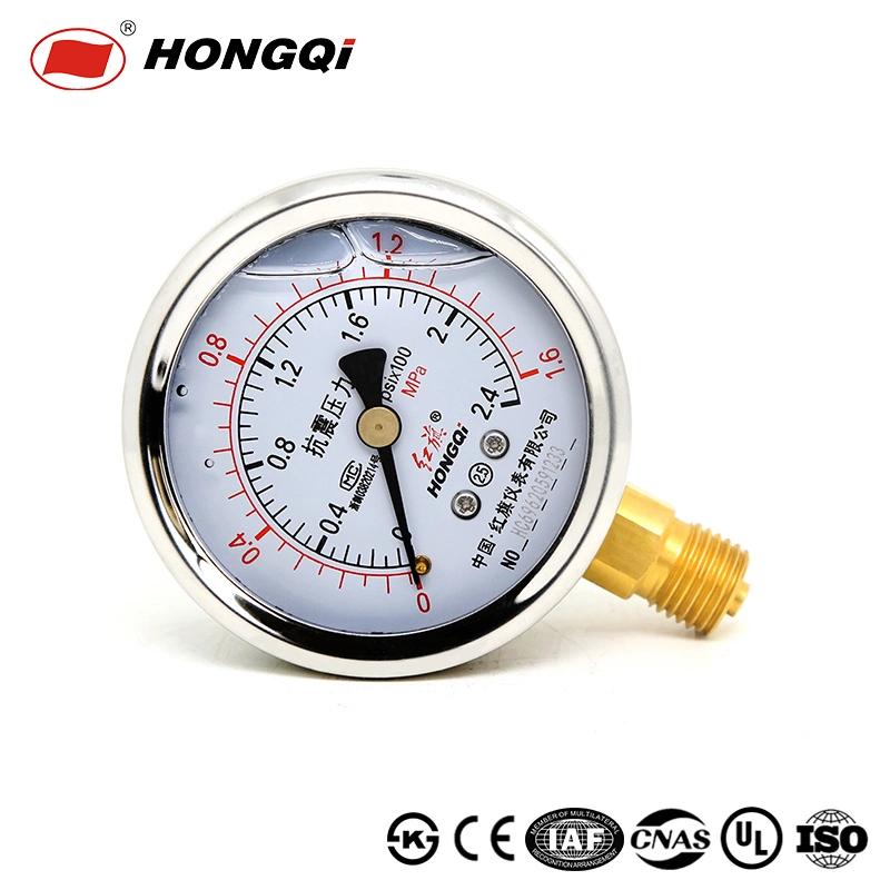 Ytn-60 Stainless Steel Case Shockproof Pressure Gauge, Liquid Filled / Oil Pressure Gauge