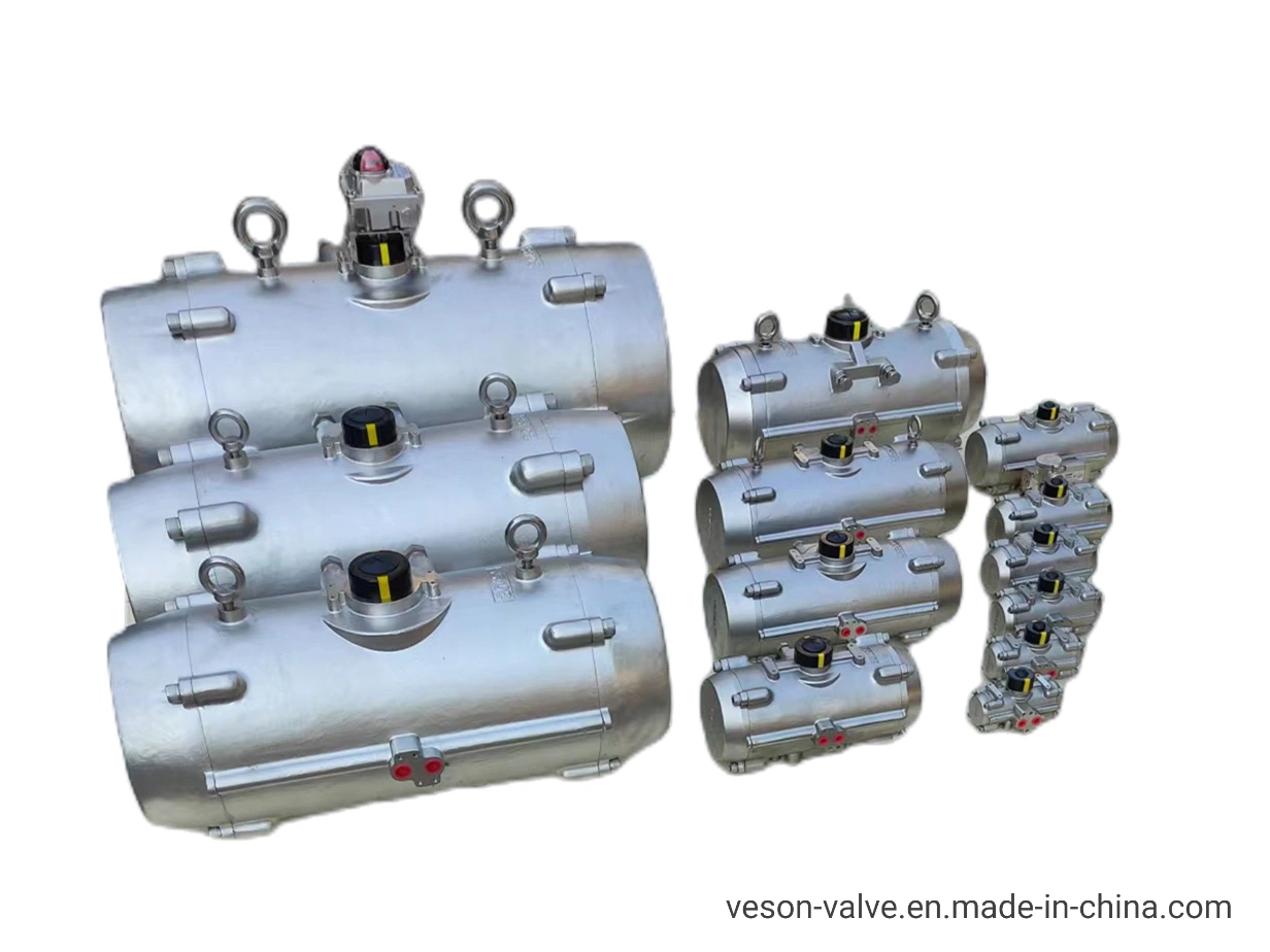 Stainless Steel Pneumatic Actuator for Marine Offshore Oil and Gas Platform Oil Drilling